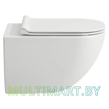 Унитаз Laufen Basal Combipack 866E100000001 картинка 3